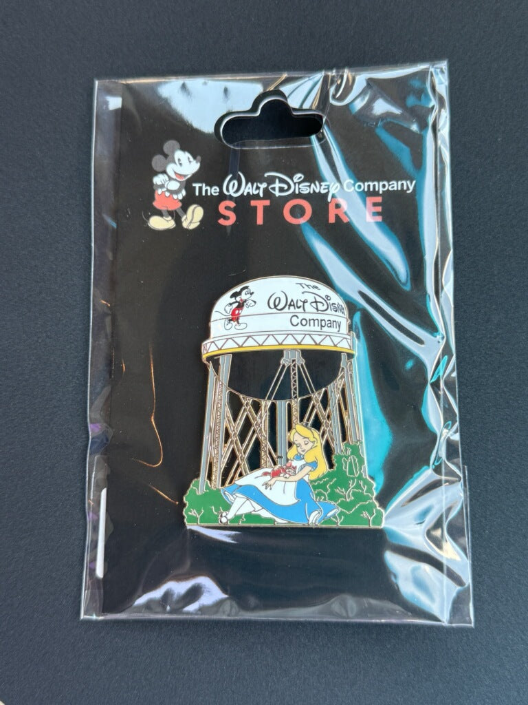 The Walt Disney company store towers