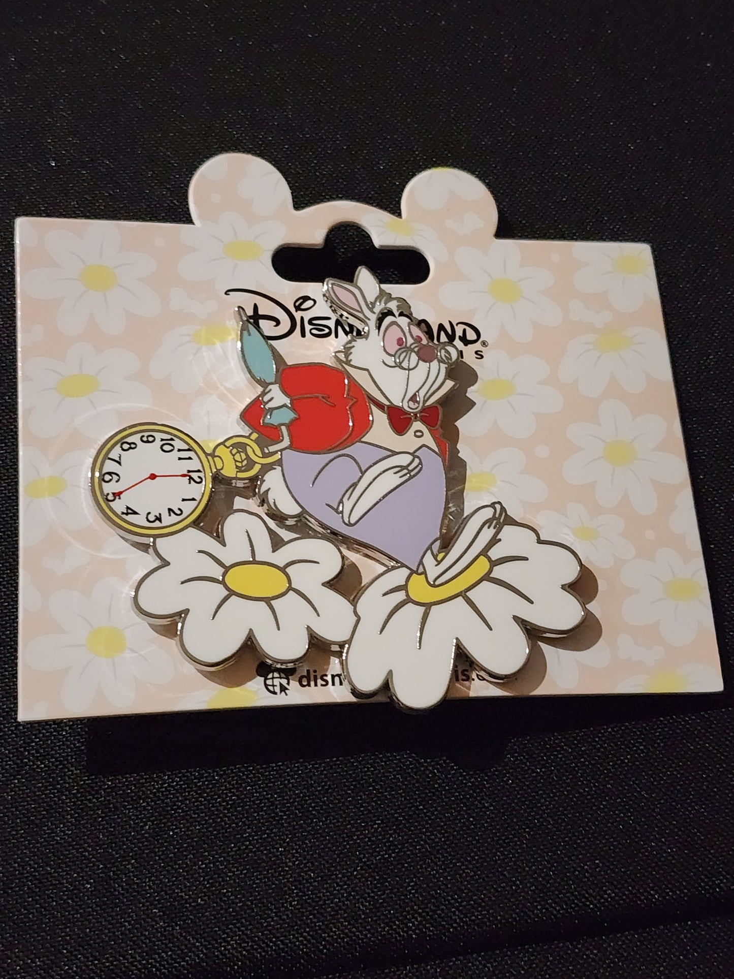 Paris pins (pick you pims)