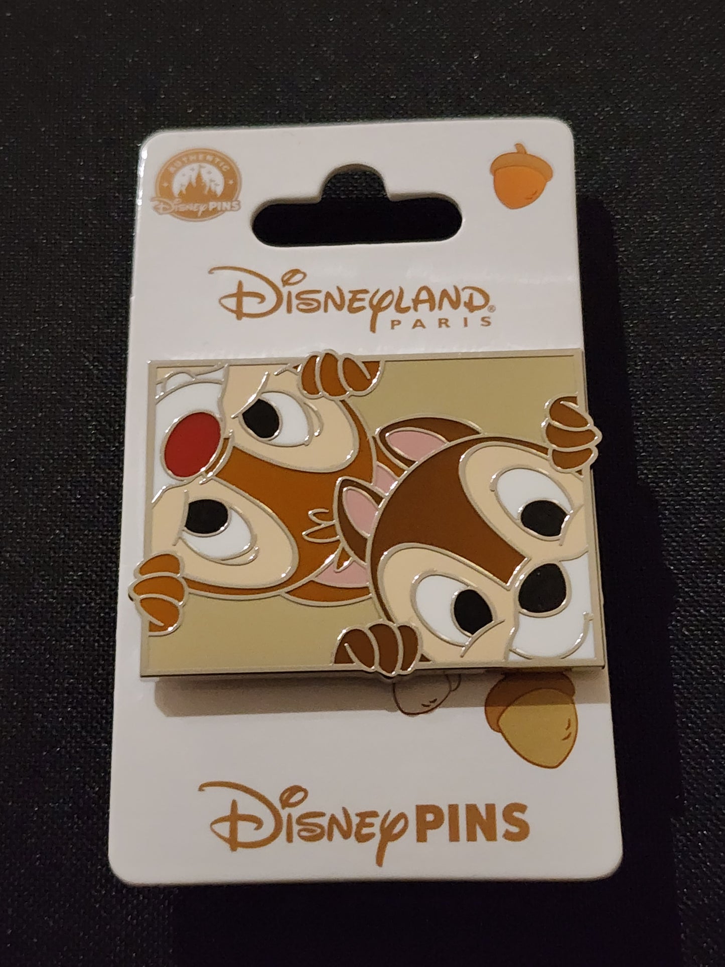 Paris pins ( pick your pins)