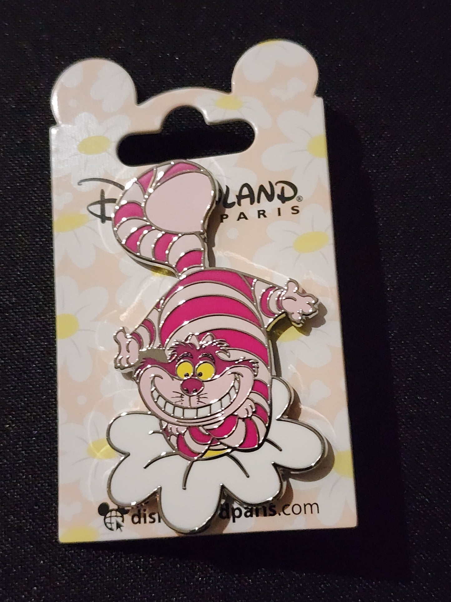 Paris pins (pick you pims)